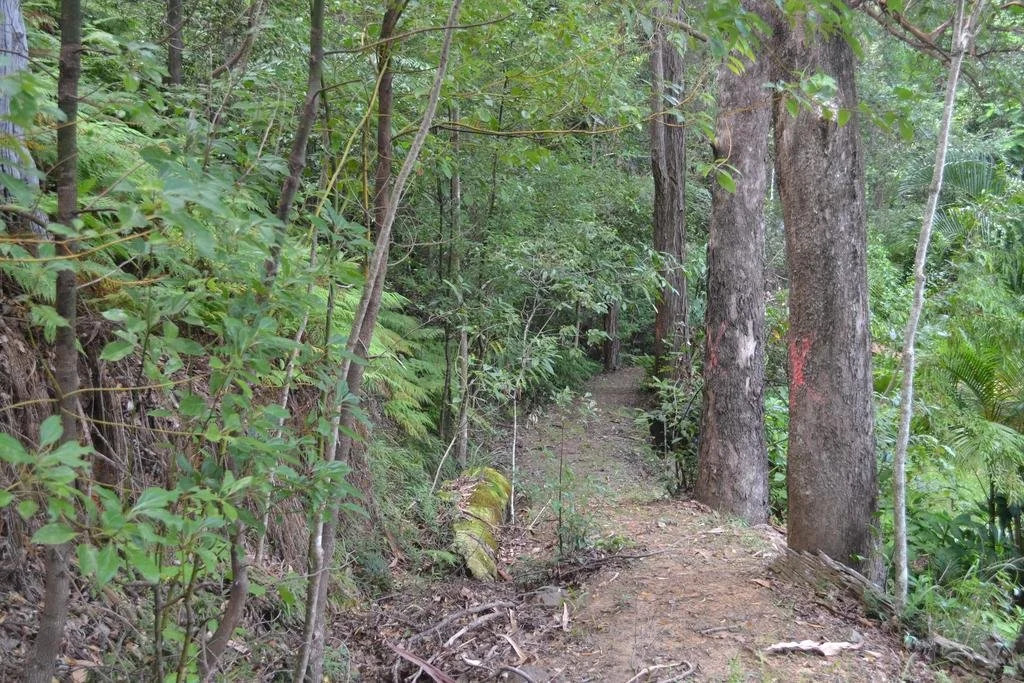 Palmwoods Eco Escape