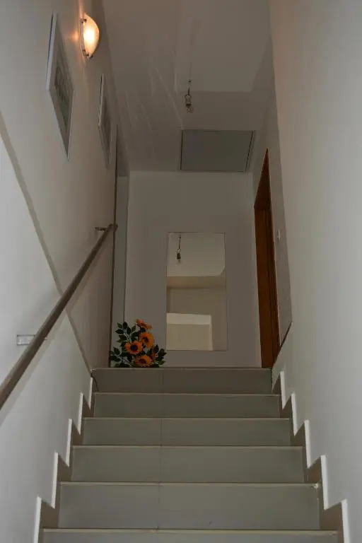 Apartment Lotika