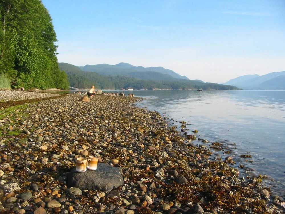 Beachcomber B&B