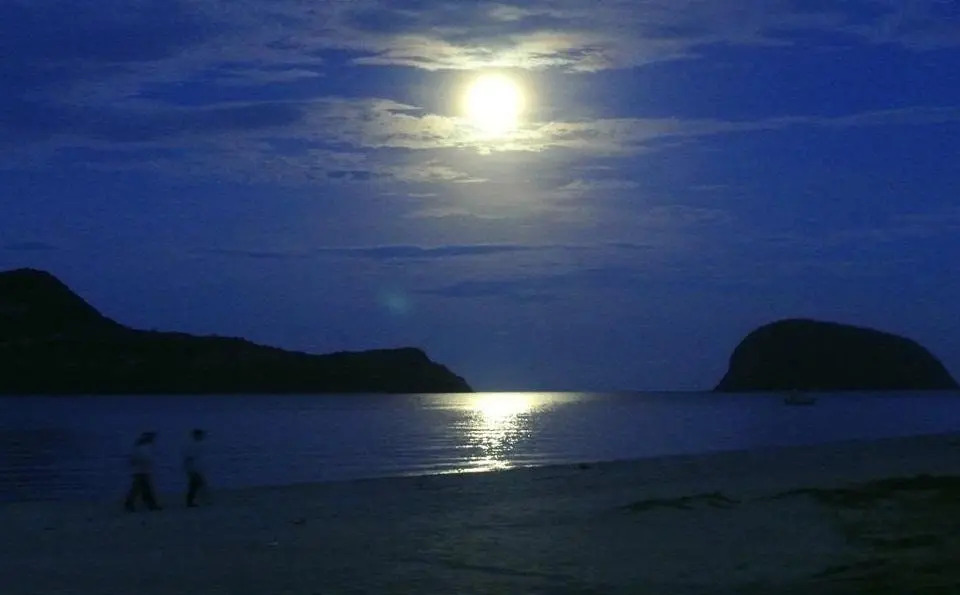 Terra Selisa - Dolphin Beach