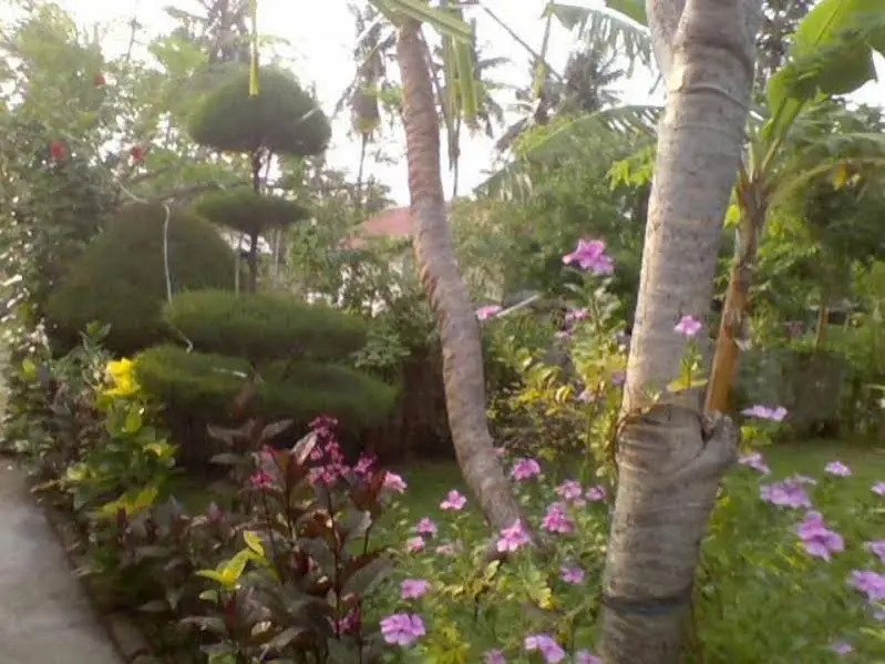 Tropicana Bungalows
