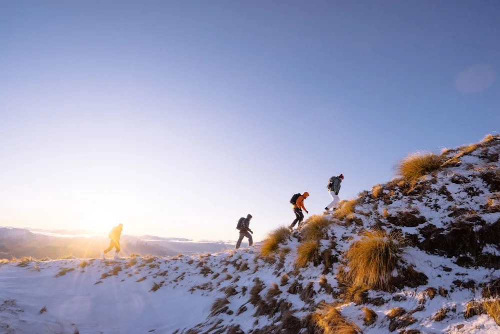 Release Wanaka - Faulks Terrace
