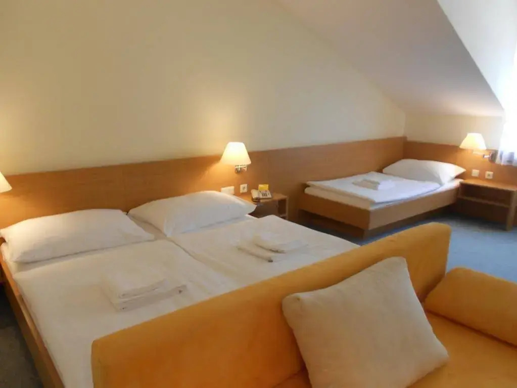Hotel Vicedom