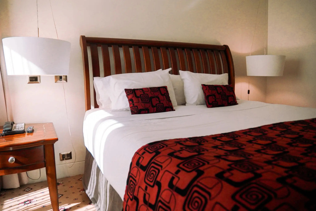 Hotel Torremayor Lyon