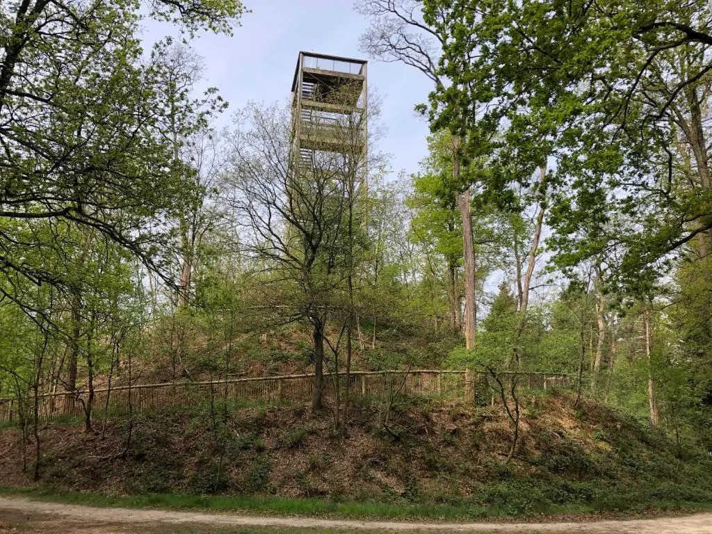 B&B Schoonloo - natuur, ruimte & rust