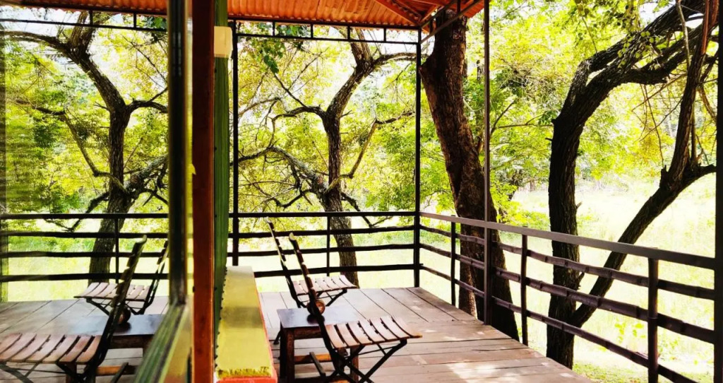 Jungle Hut Resort