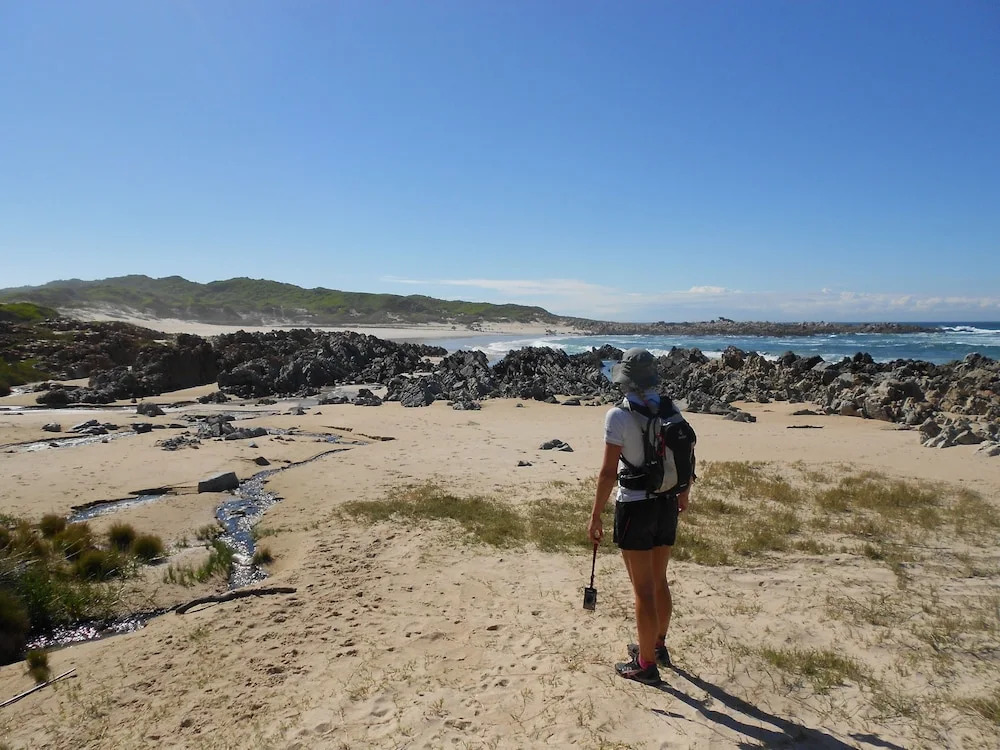 Seals Backpackers
