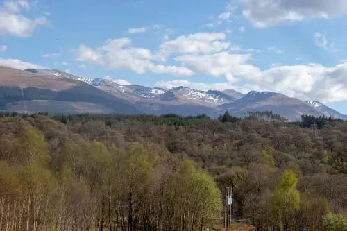 The Braes Guest House
