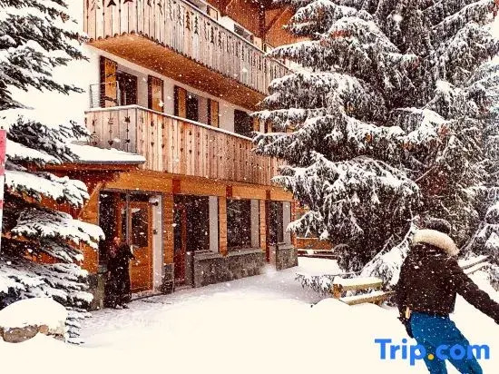 Alpe 1850  one- 8P-50 m from a lift- centre