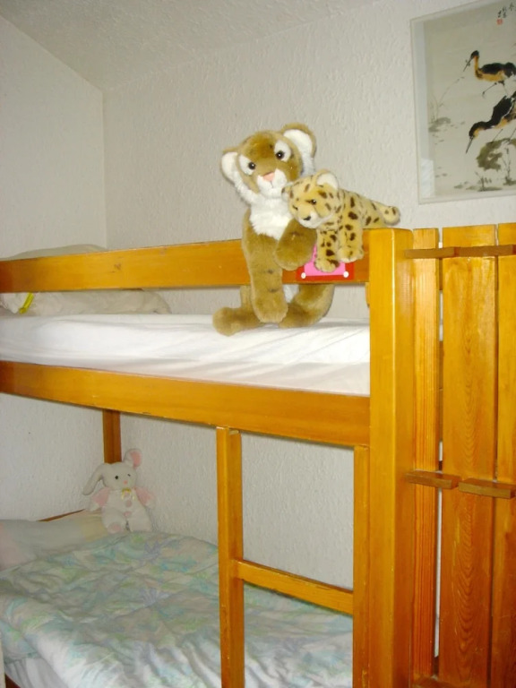 Apartment With one Bedroom in Deux Alpes, With Wonderful Mountain View