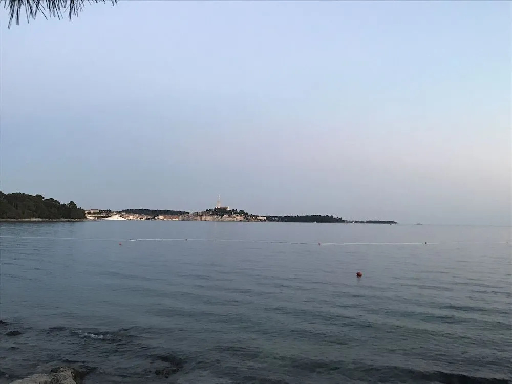 B&B Sea Joy
