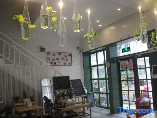 Xiyu Hostel · Cat Café