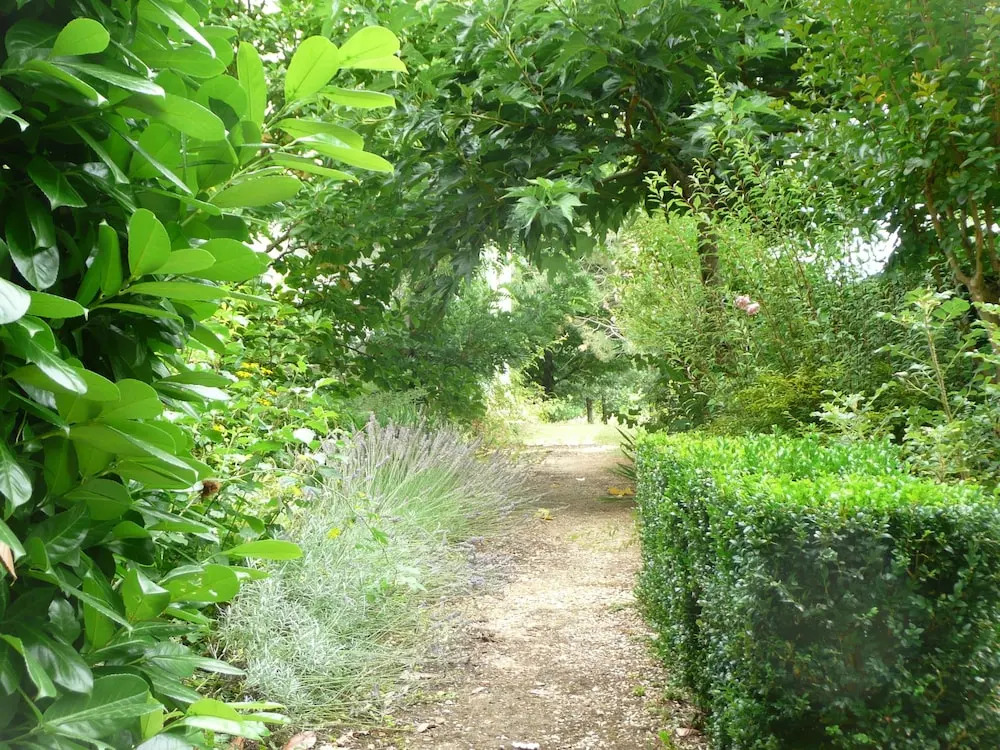 L'orée du bois