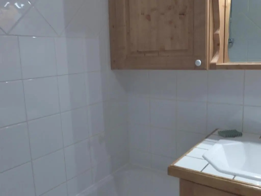 Appartement Méribel, 3 pièces, 4 personnes - FR-1-411-256