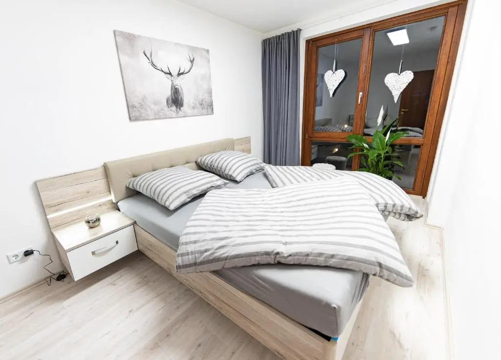 Apartment Mittendrin in Bad Harzburg