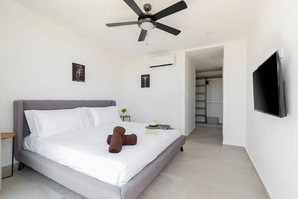 Palalma Tulum 30 By Lockey