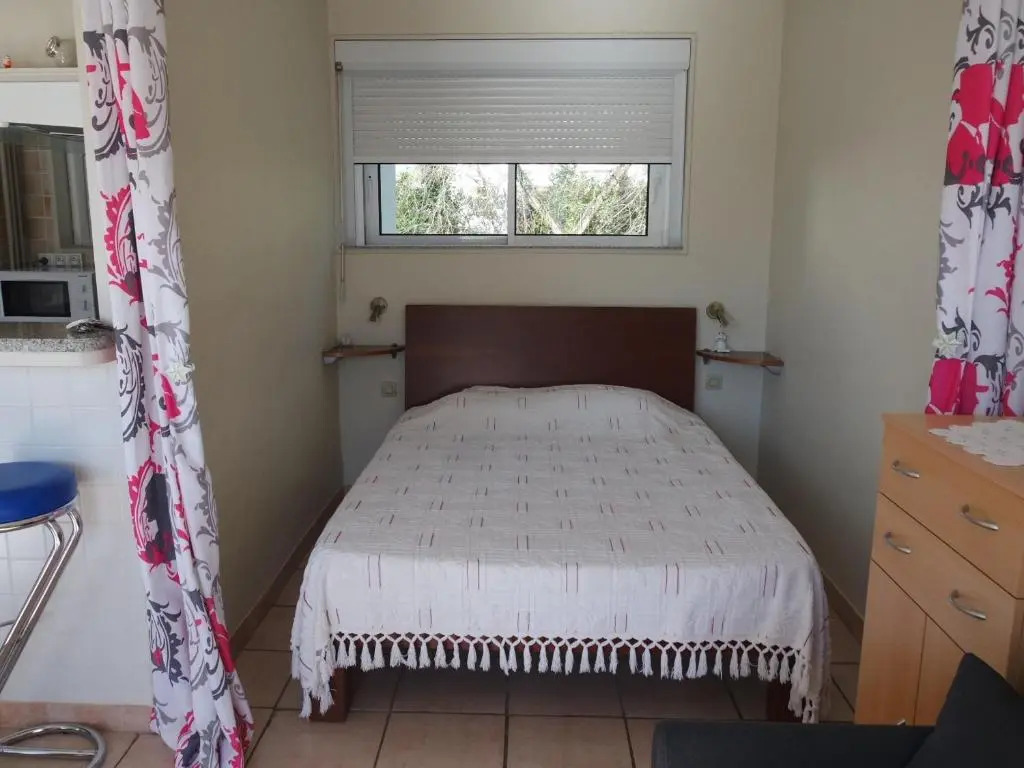 Appartement Arcachon, 1 Pièce, 4 Personnes - Fr-1-319-341