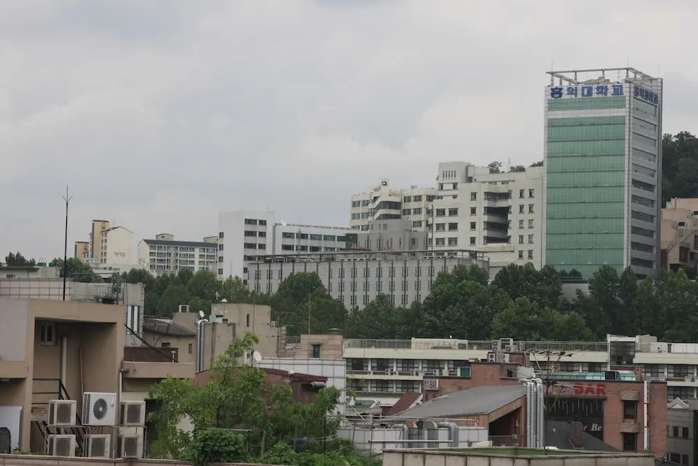 Fortune Guest House - Hostel