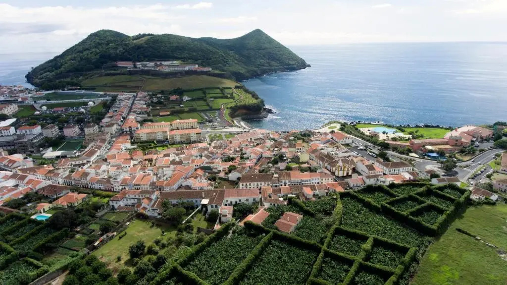 Quinta Amaro AL