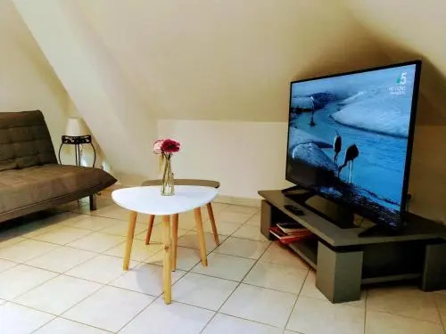 T2 Vue chateau Amboise, Cozy,Calme,Wifi,Netflix
