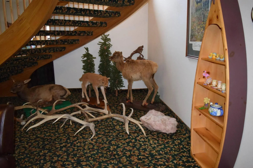 Greenwood Village Inn & Suites
