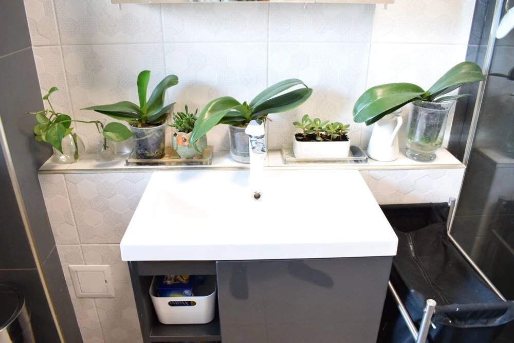 2 Bedroom City Home in Oval
