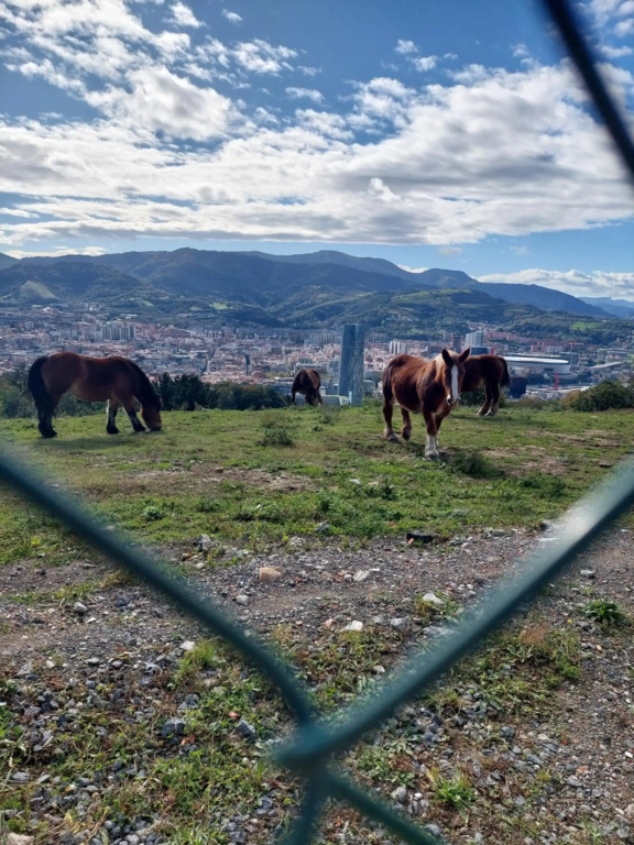 Bilbao Center Apt parking FREE