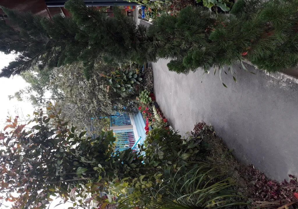 The Shire Kalimpong