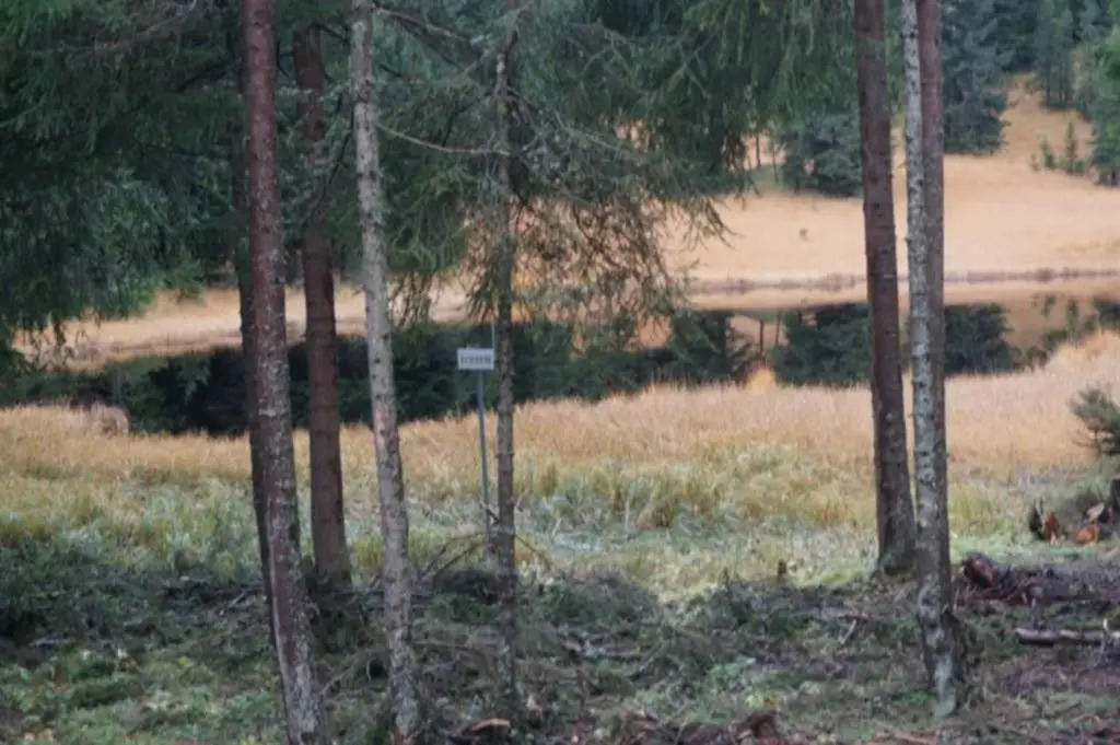 Paradies 001