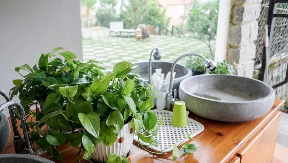 Zen Homestay Đà Lạt