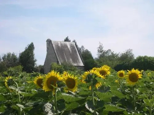 Domaine de la chapelle - Ch dhote