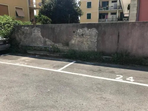 Il giardino dei limoni