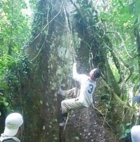 Pacaya Samiria Amazon Lodge