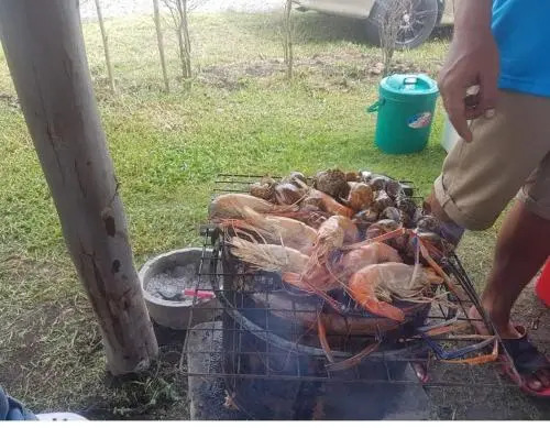 Baan Tung Camping Field