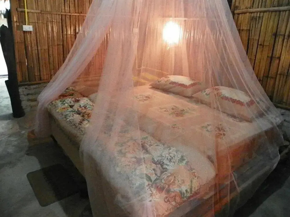 Hot Stream Resort