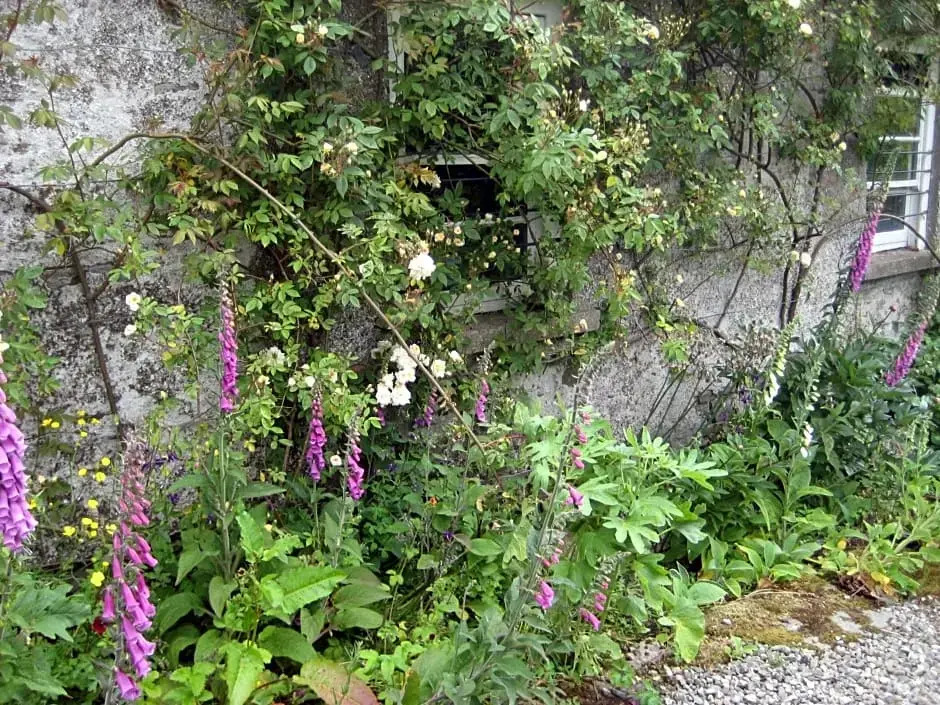 Ballydugan Country House