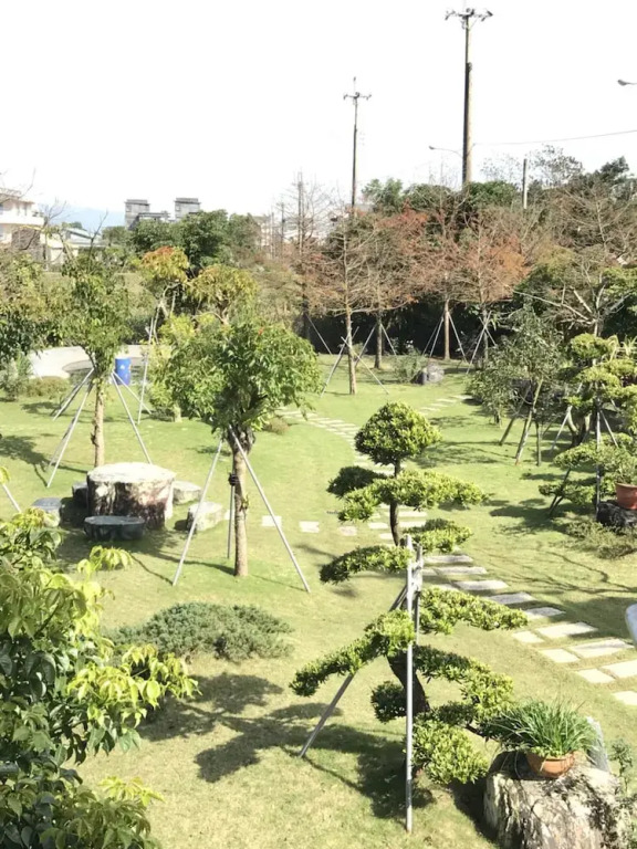 Rice Countryside