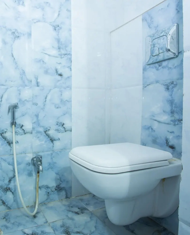 OYO 3205 Hotel New Luxury Royale