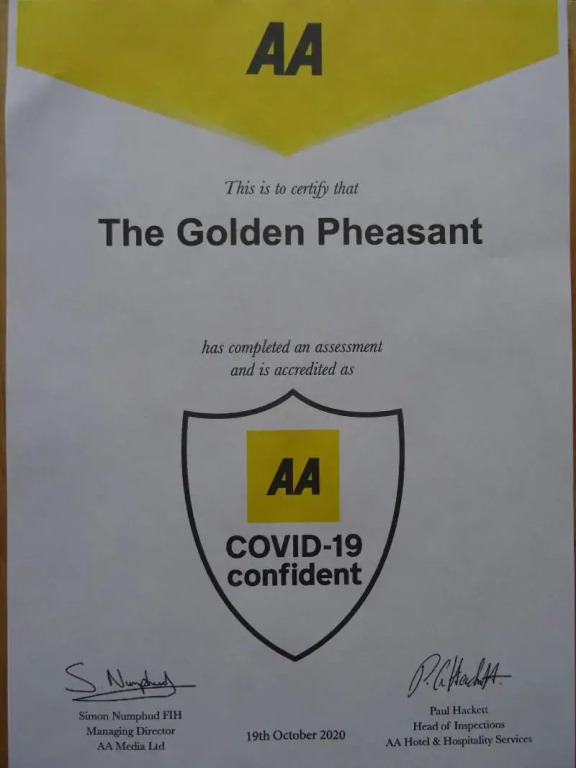 The Golden Pheasant