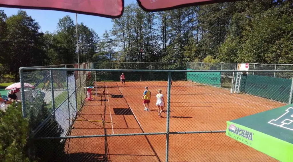 Penzion Heřmanice