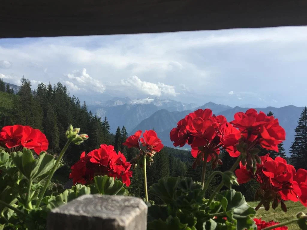 Appartements im Forsthaus Wunderbar ruhige Ferienwohnungen in Strobl am Wolfgangsee im Forsthaus