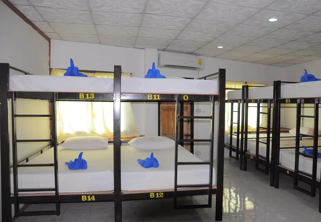 Mickey Hostel