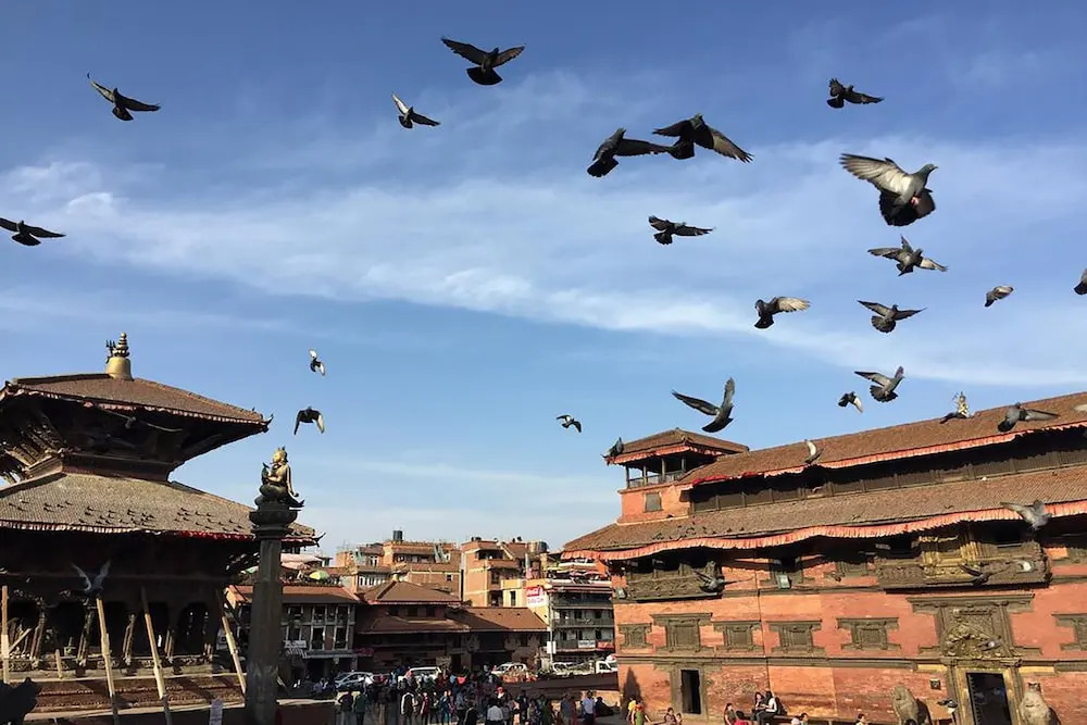 Buddha Rooms Nepal