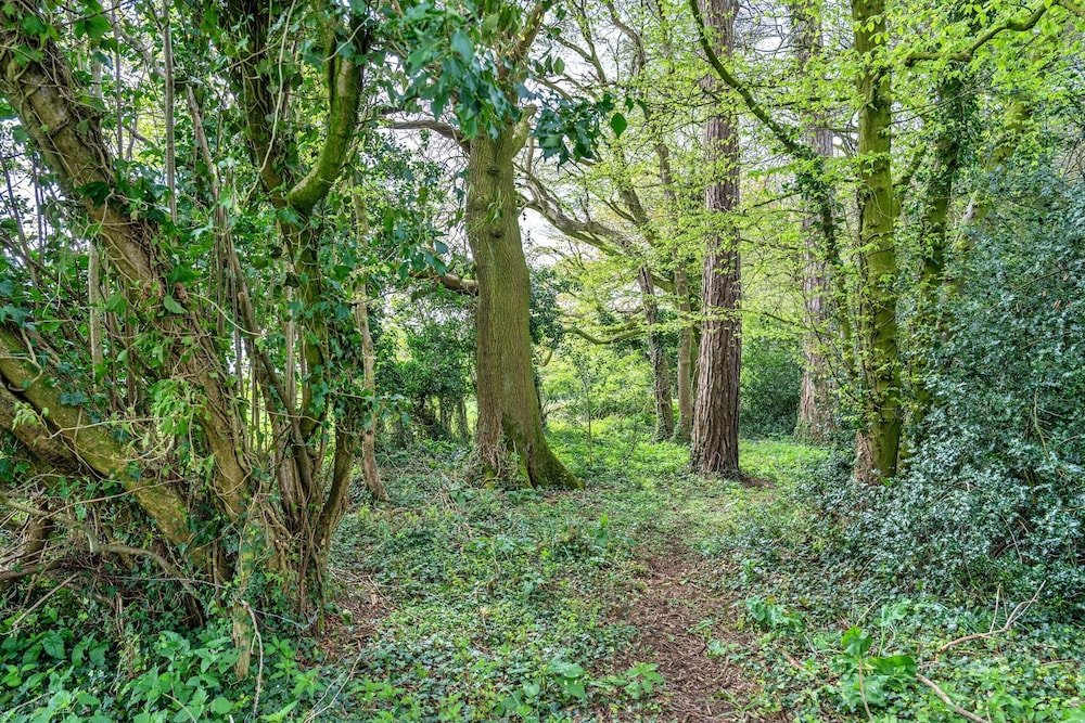 Glamping in Somerset Near Bath & Wells