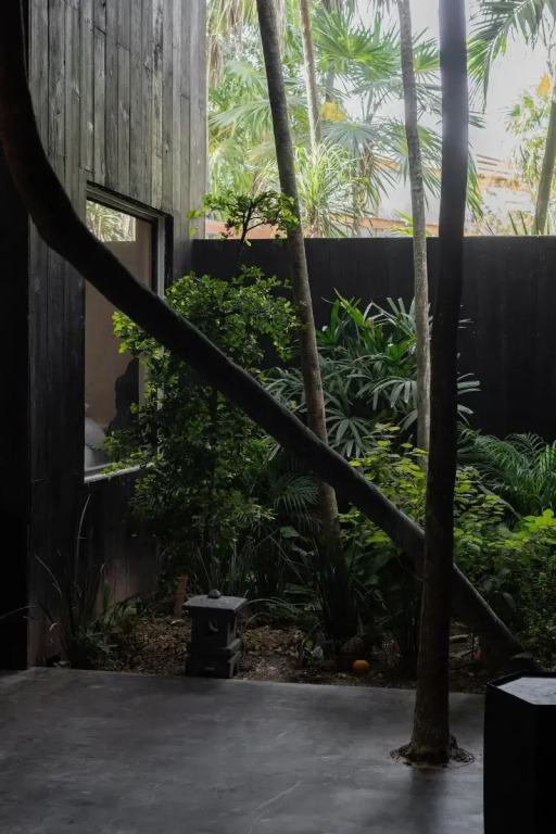 UMi Tulum