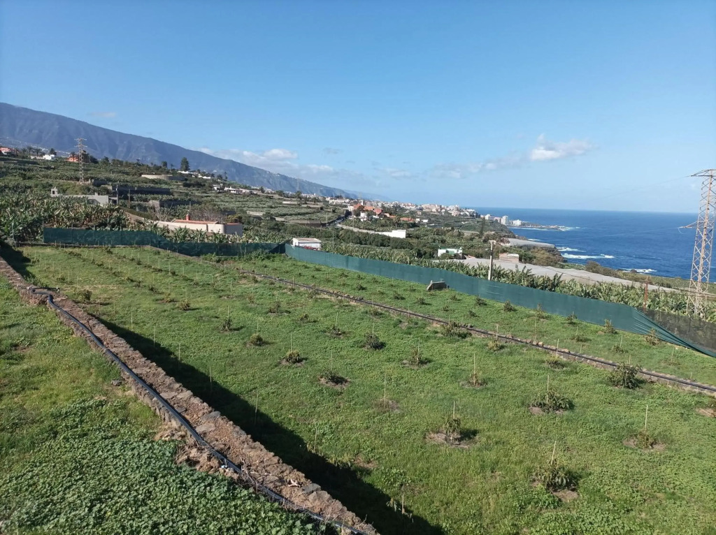 Vista Valle