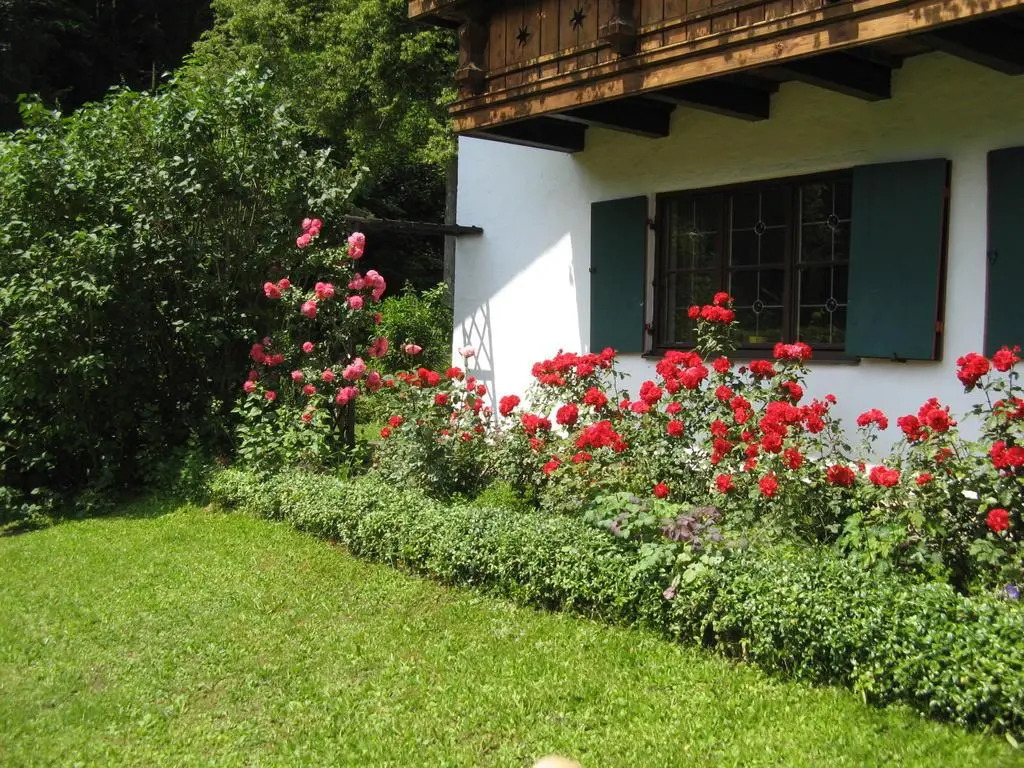 Haus Alpenrose