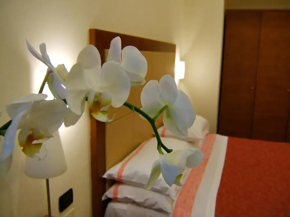 Hotel Gemma