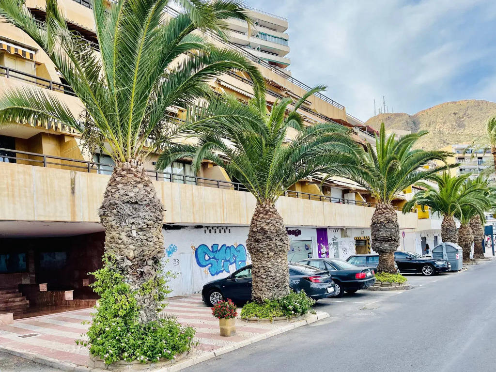 Welcoming apartment in Aguadulce with private terrace