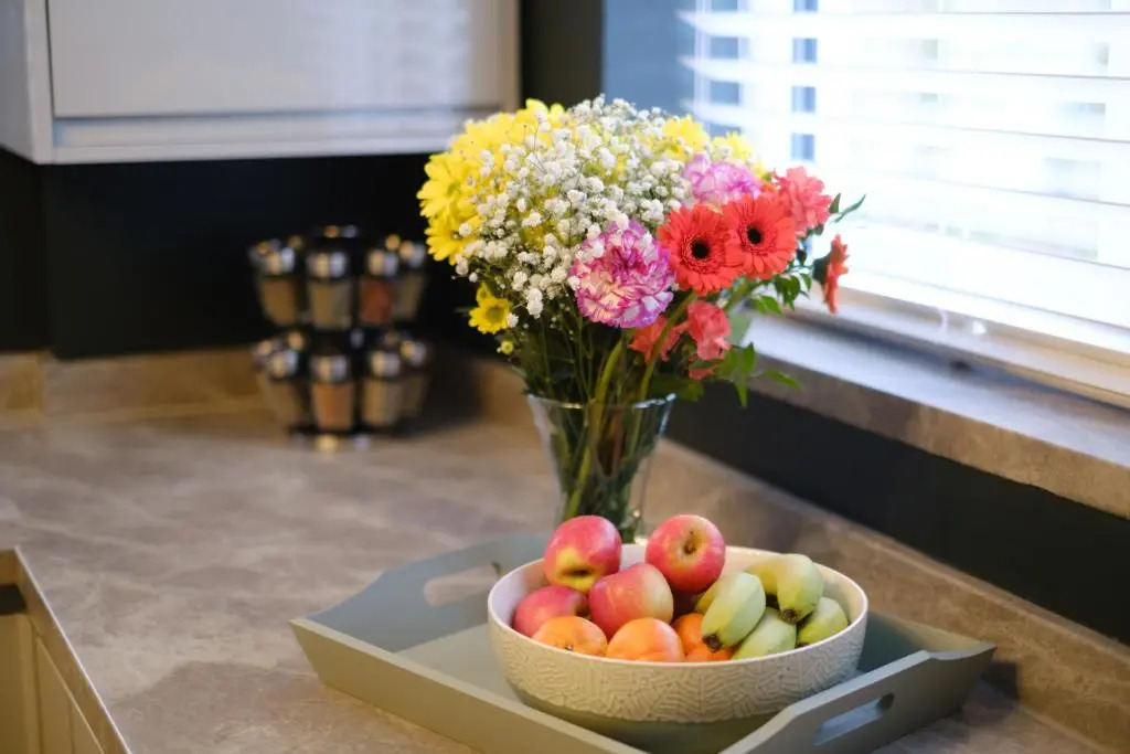 Rockside - Luxury 1 bedroom home with hot tub, central location, parking and pet friendly